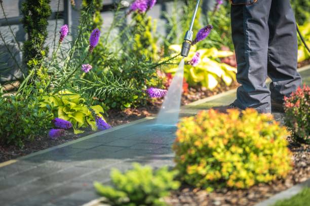 Professional  Pressure Washing Services in New Holland, PA